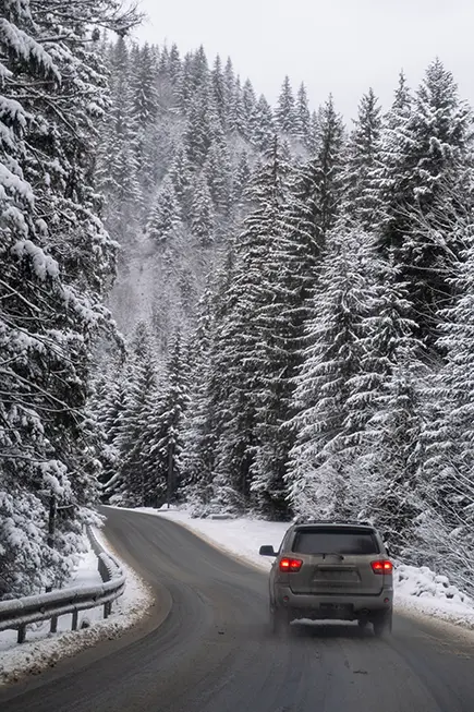 Winter- und Frühlingscheck
